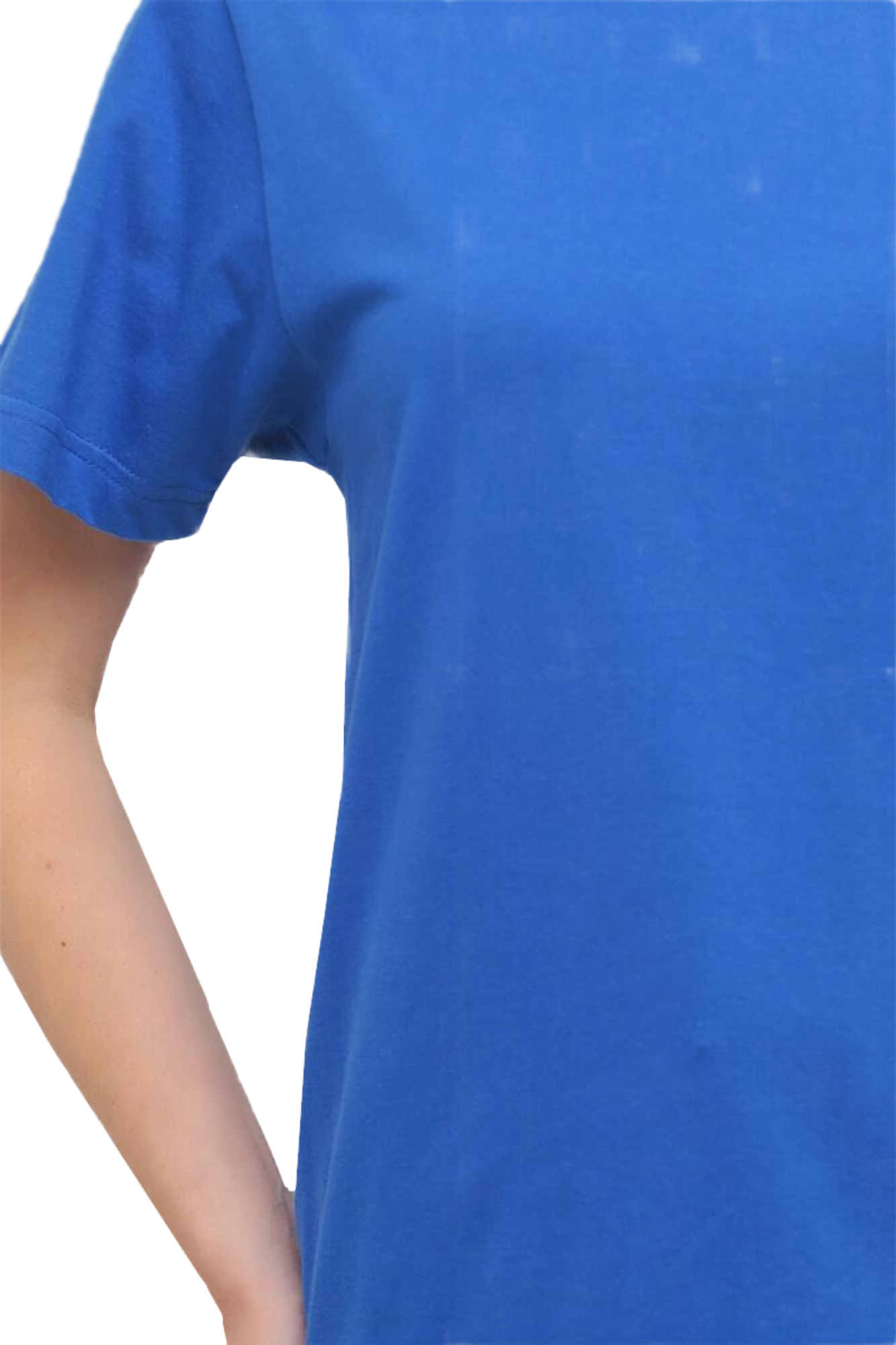 Футболка женская хлопковая Stedman ST2000W-BRR 4XL васильковая фото 4