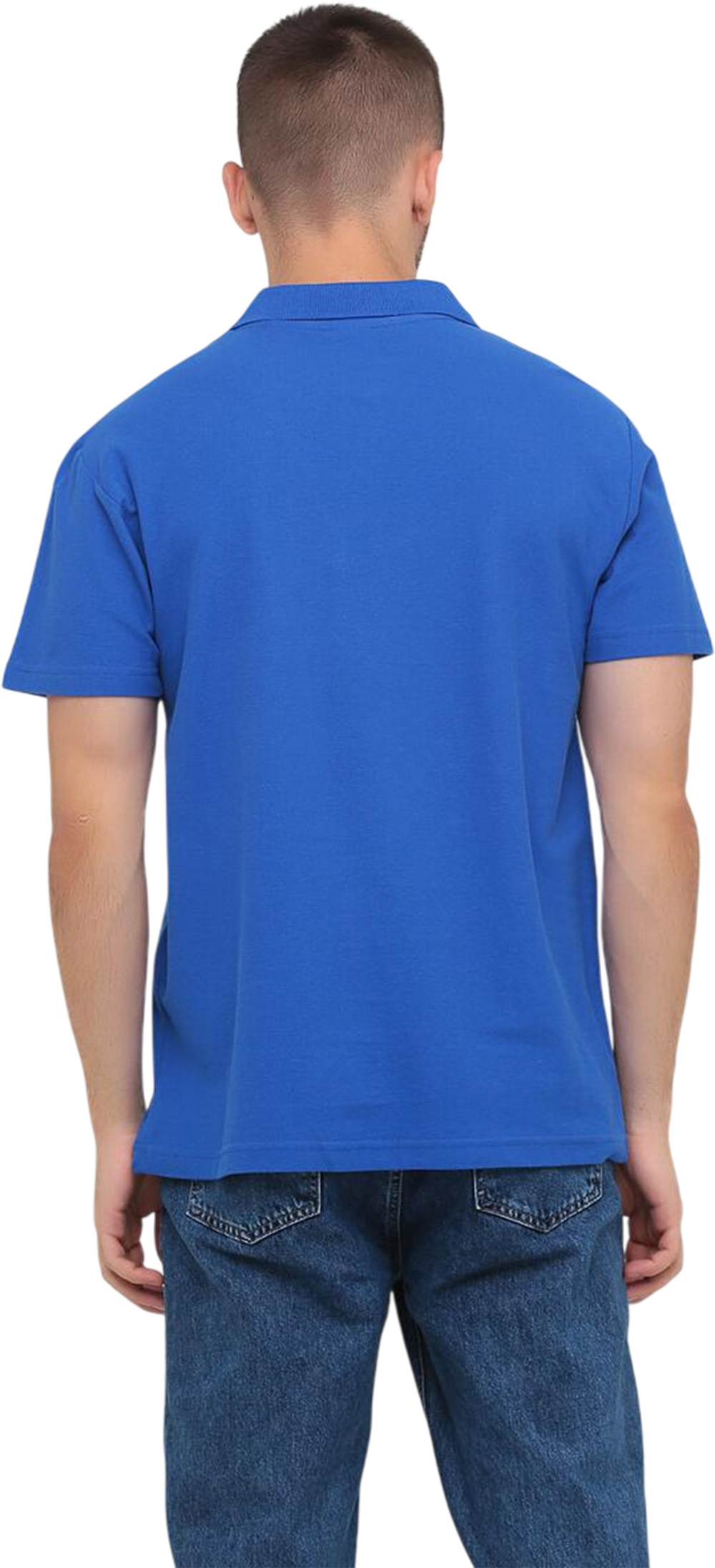 Поло чоловіче бавовняне Stedman ST3000-BRR 3XL волошковефото