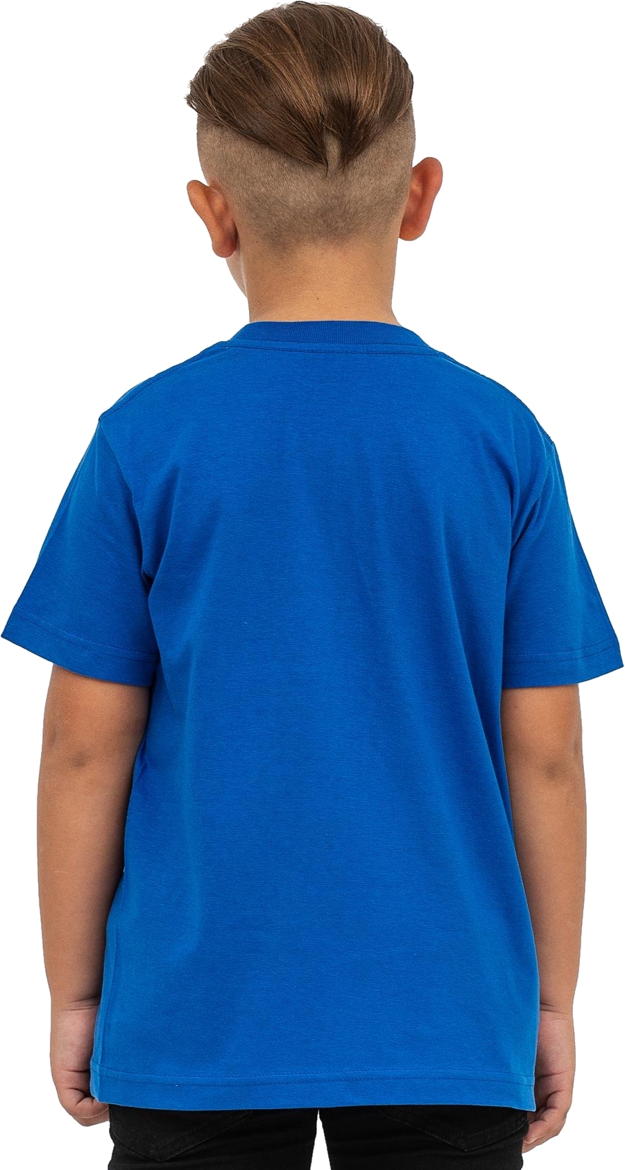 Футболка дитяча бавовняна Stedman Classic-T Kids ST2200M-BRR M (134-140 cm) волошковафото2