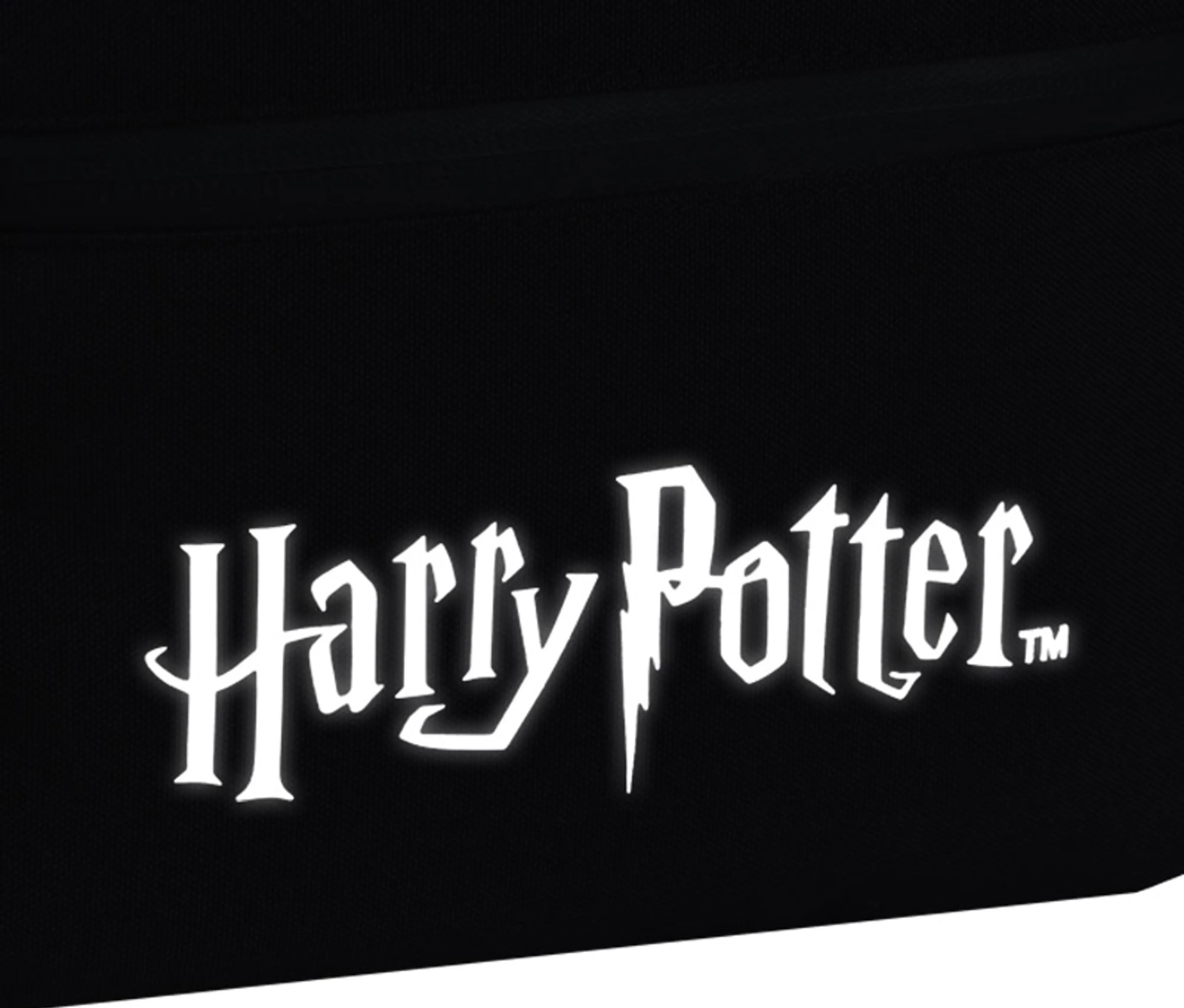 Рюкзак Kite Education teens Harry Potter HP26-949M фото 