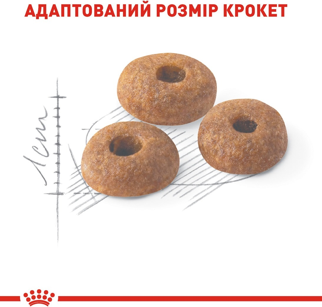 Промонабір Сухий корм для домашніх та вуличних котів Royal Canin Fit 2кг + Wet Inst in Gravy 85г х 4штфото4