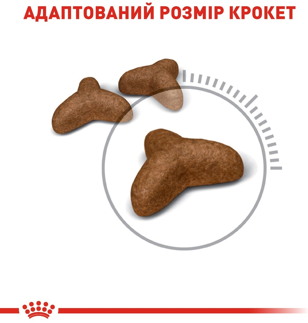 Промонабір Сухий корм для котів Royal Canin Light Weight Care обмеження зайвої ваги 1.5кг + Wet Light Weight Cig 85гх4штфото