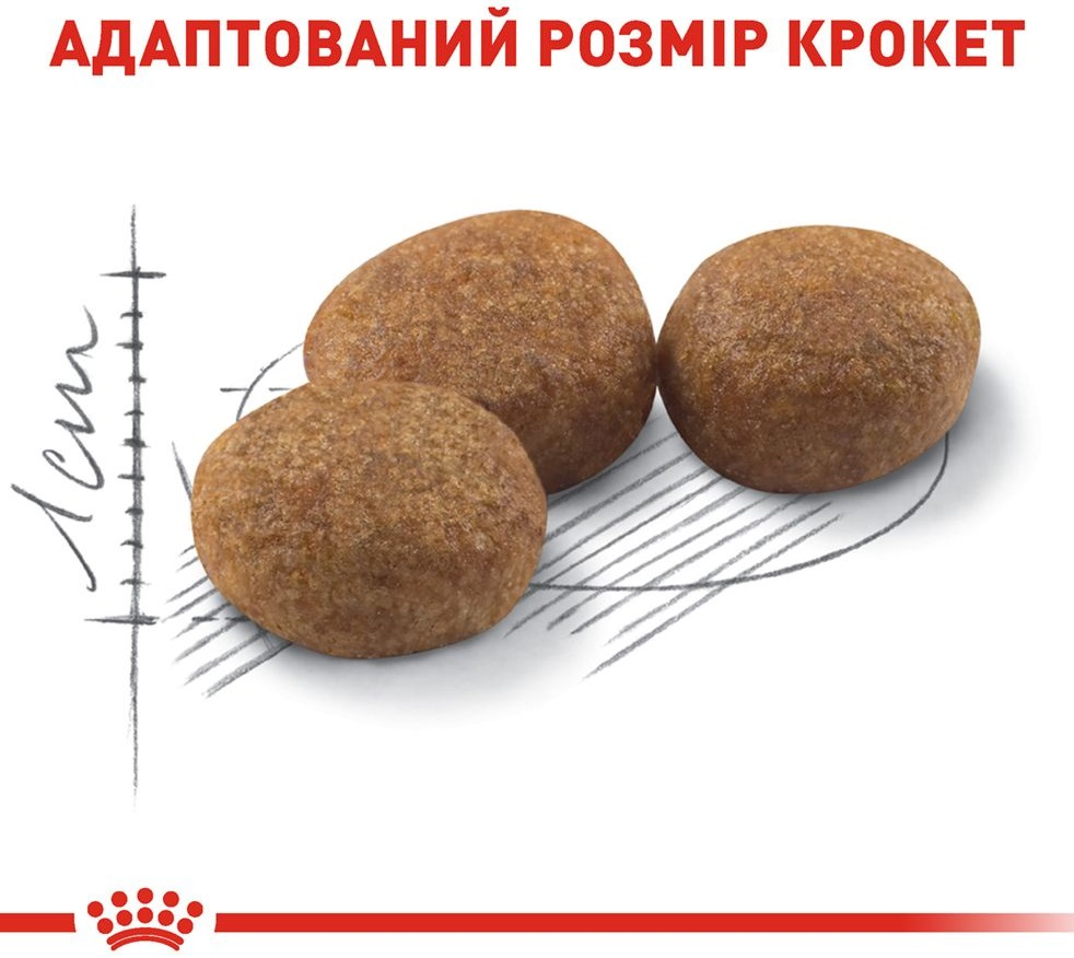 Промонабір Сухий корм для дорослих стерилізованих кішок Royal Canin Sterilised 2кг + Wet Steril 85г х 4штфото5