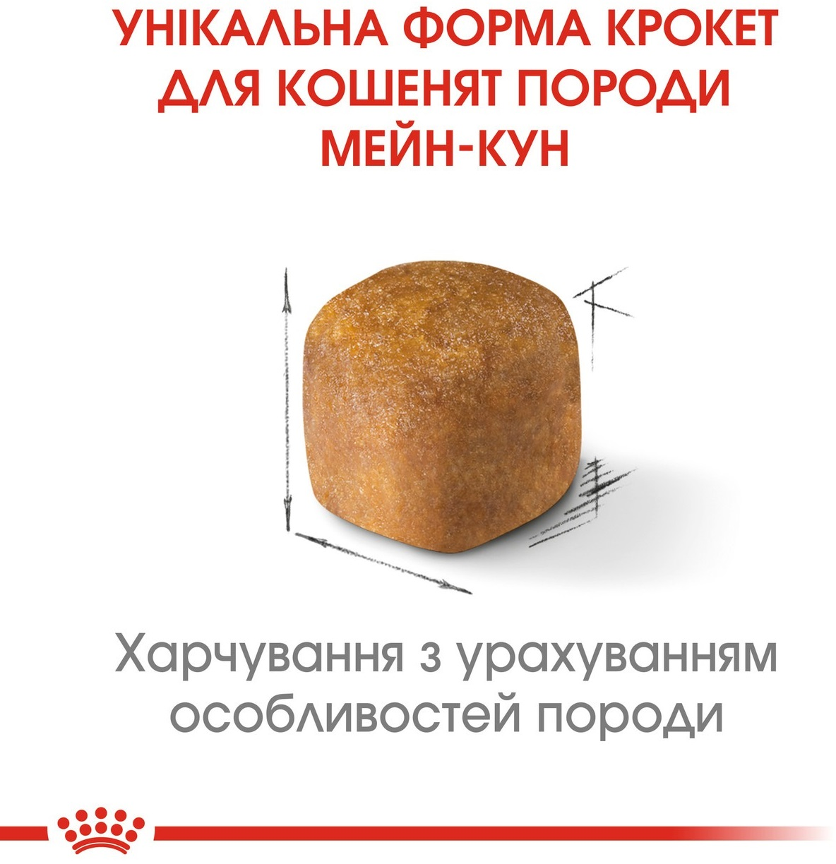 Промонабір Сухий корм для кошенят породи Мейн-Кун Royal Canin Mainecoon Kitten 2кг + Wet Kitten Loaf 85г х 4штфото