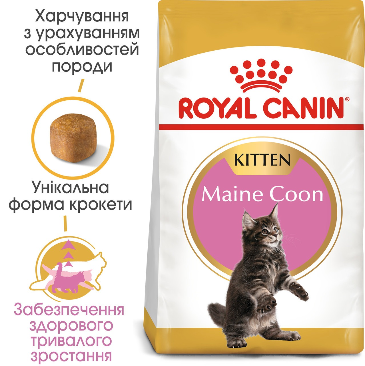 Промонабір Сухий корм для кошенят породи Мейн-Кун Royal Canin Mainecoon Kitten 2кг + Wet Kitten Loaf 85г х 4штфото