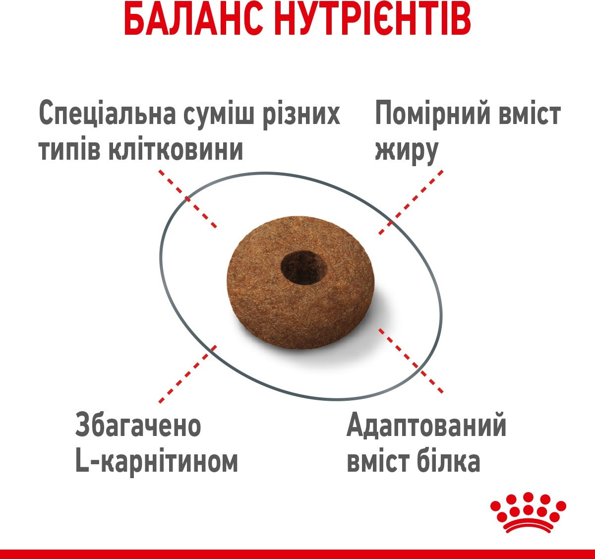 Промонабір Сухий корм для кішок Royal Canin Appetite Control для контролю аппетиту 2кг+ Wet Appetite Contr Cig 8 г х 4штфото5