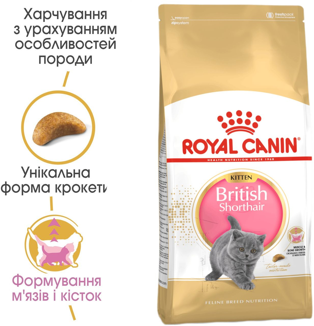 Промонабір Сухий корм для кошенят Royal Canin Kitten British Shorthair 2кг + Wet Kitten Loaf 85г х 4штфото2