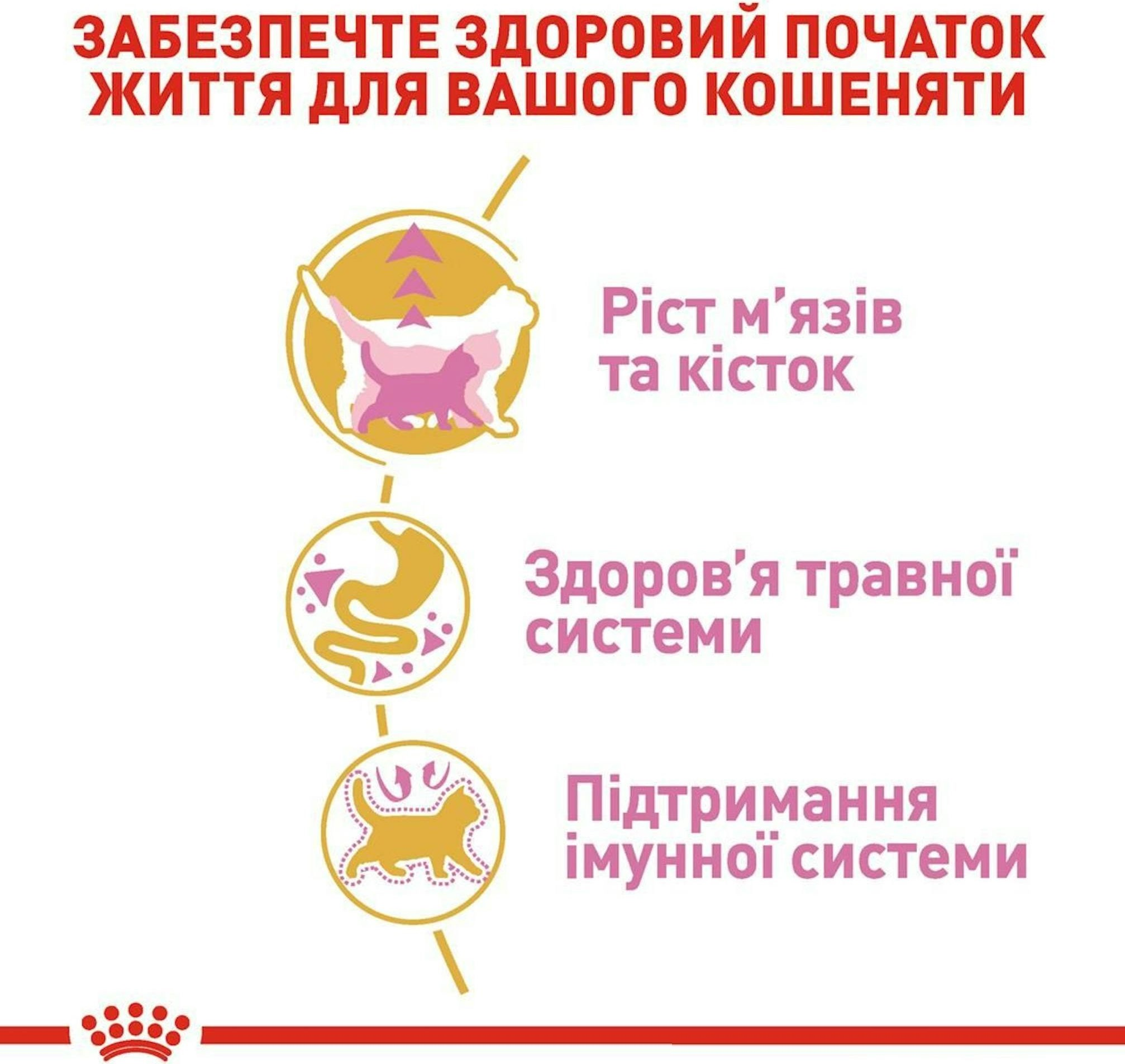 Промонабір Сухий корм для кошенят Royal Canin Kitten British Shorthair 2кг + Wet Kitten Loaf 85г х 4штфото4