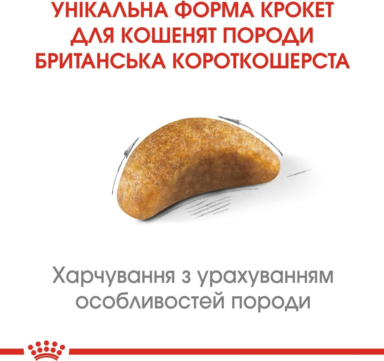 Промонабір Сухий корм для кошенят Royal Canin Kitten British Shorthair 2кг + Wet Kitten Loaf 85г х 4штфото5