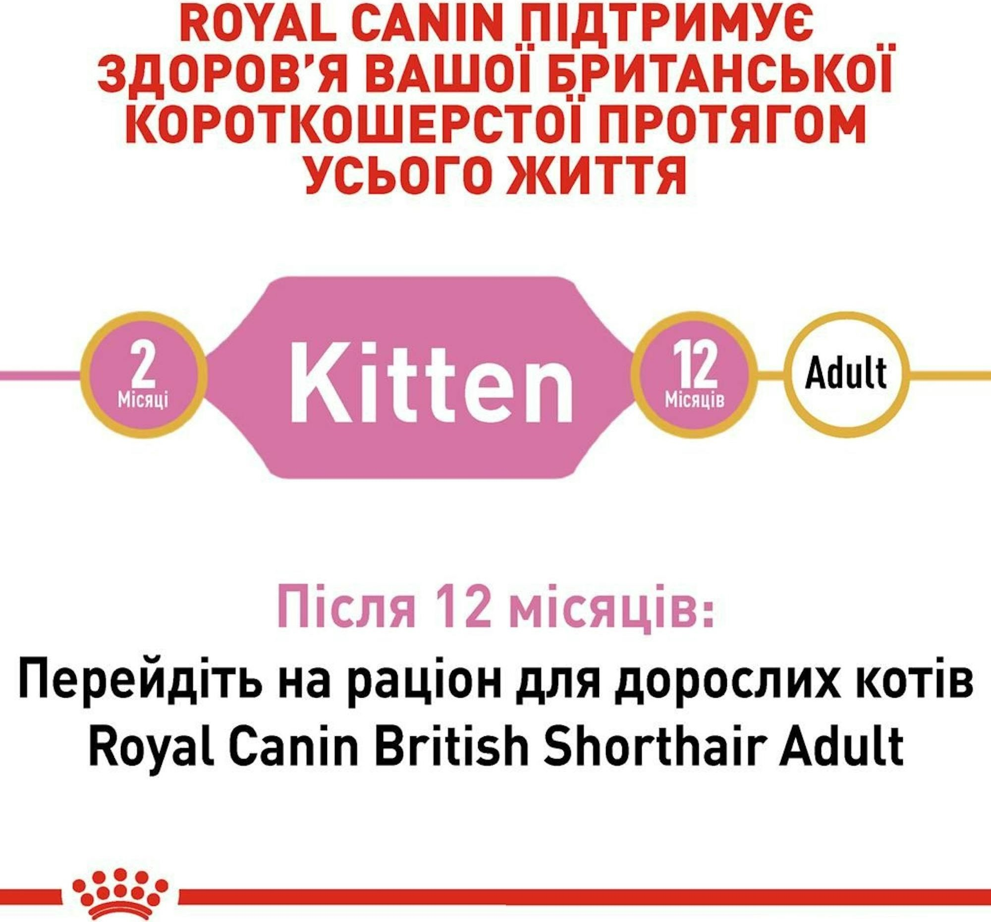 Промонабір Сухий корм для кошенят Royal Canin Kitten British Shorthair 2кг + Wet Kitten Loaf 85г х 4штфото8