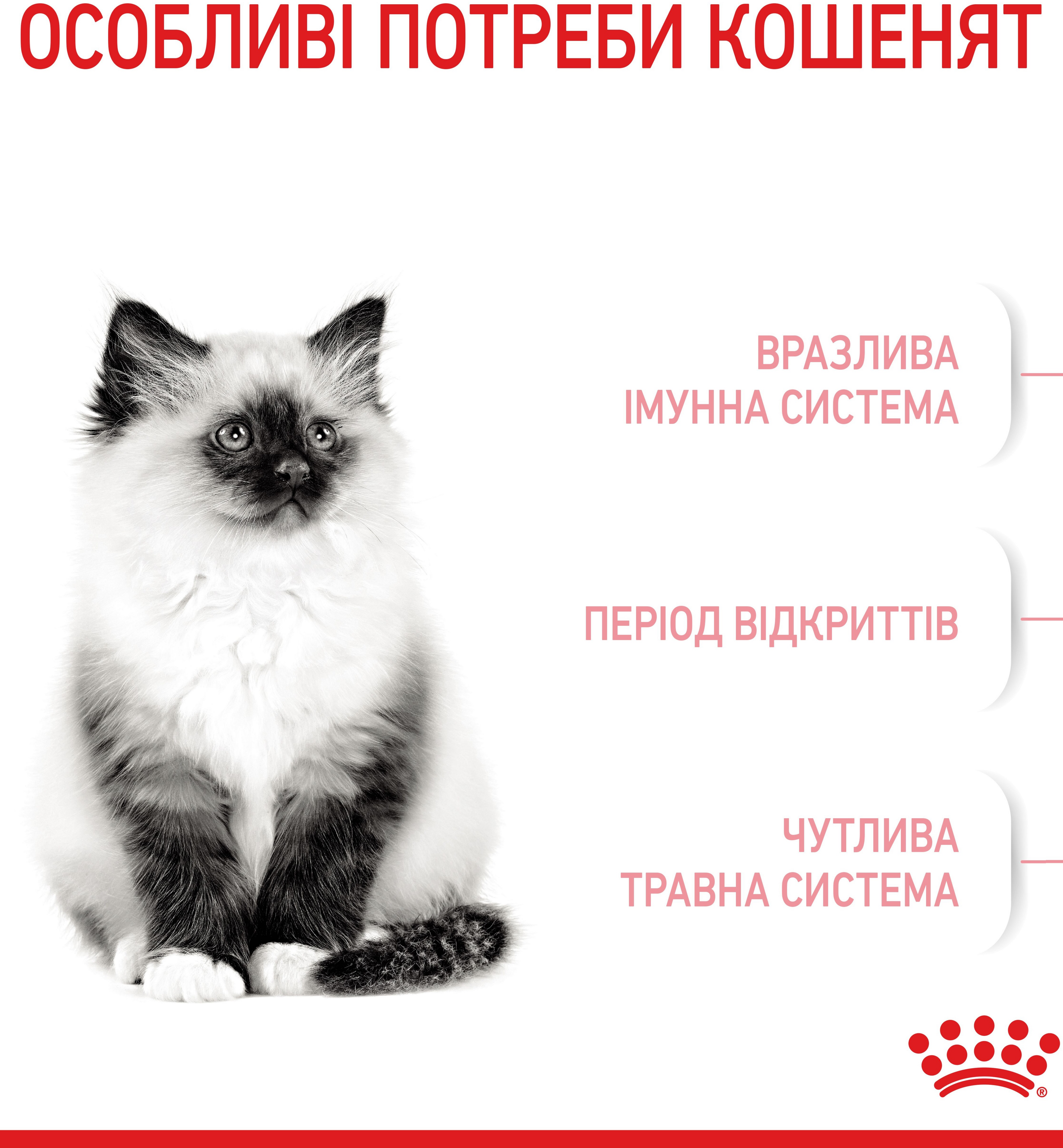 Перший набір для кошенят Сухий корм Royal Canin Kitten від 4 до 12 місяців 1.2 кг + Kitten Loaf 85г x 3штфото5