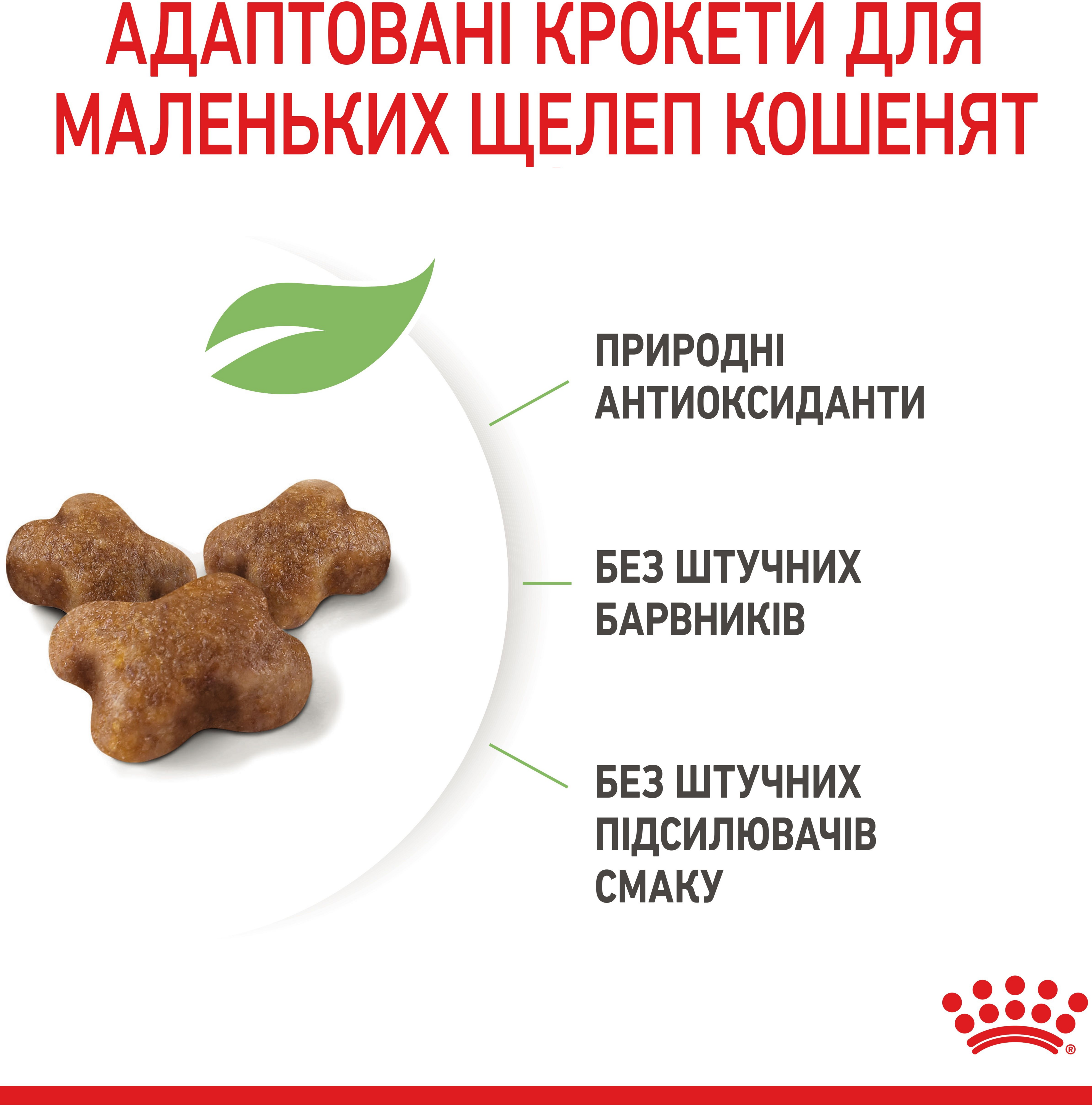 Перший набір для кошенят Сухий корм Royal Canin Kitten від 4 до 12 місяців 1.2 кг + Kitten Loaf 85г x 3штфото7