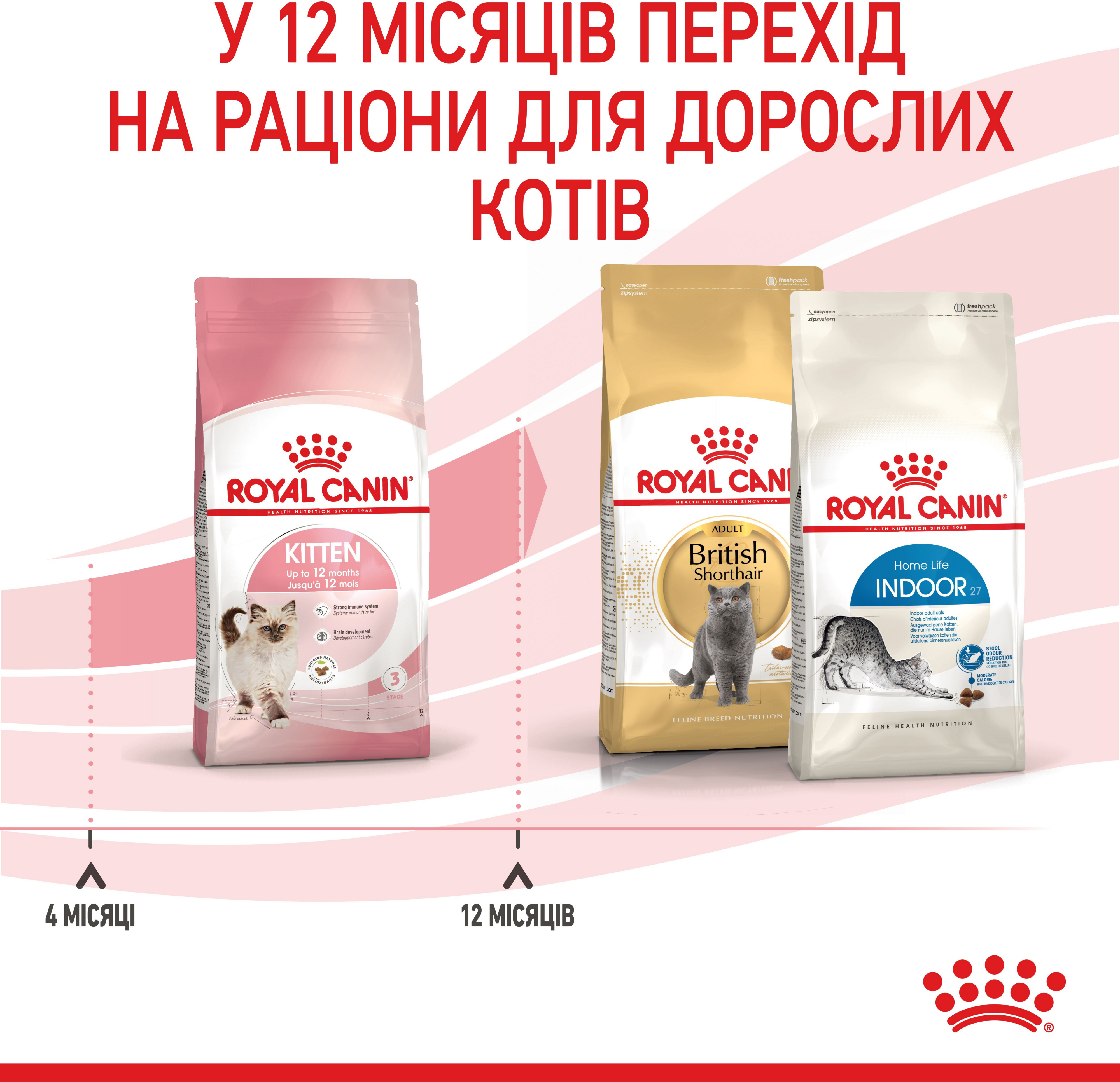 Перший набір для кошенят Сухий корм Royal Canin Kitten від 4 до 12 місяців 1.2 кг + Kitten Loaf 85г x 3штфото8