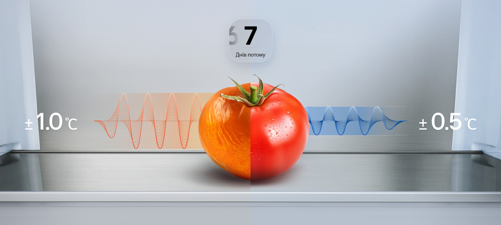 Холодильник LG GC-B459EQYMфото8