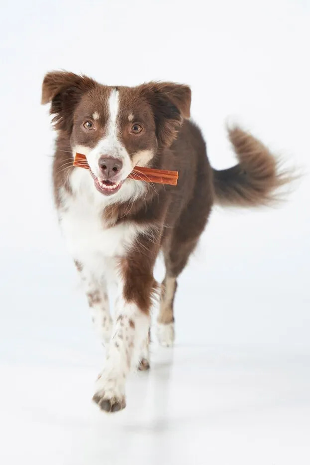 Лакомство для собак Whimzees Stix в форме палочек M 14 шт фото 11