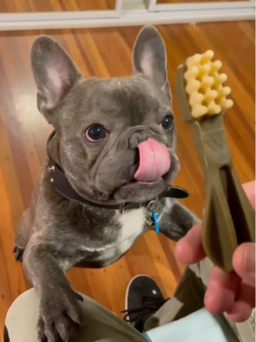 Лакомство для собак Whimzees Toothbrush в форме зубной щетки S 24 шт фото 10