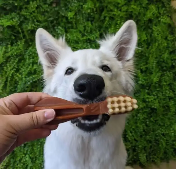 Лакомство Whimzees Variety Value Box Набор для собак M 28 шт фото 11