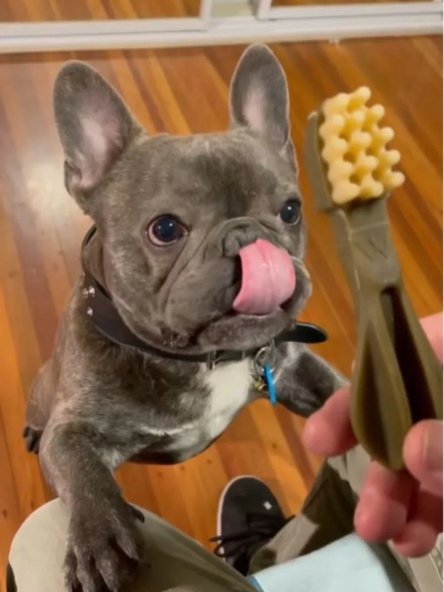 Лакомство Whimzees Variety Value Box Набор для собак S 56 шт фото 11