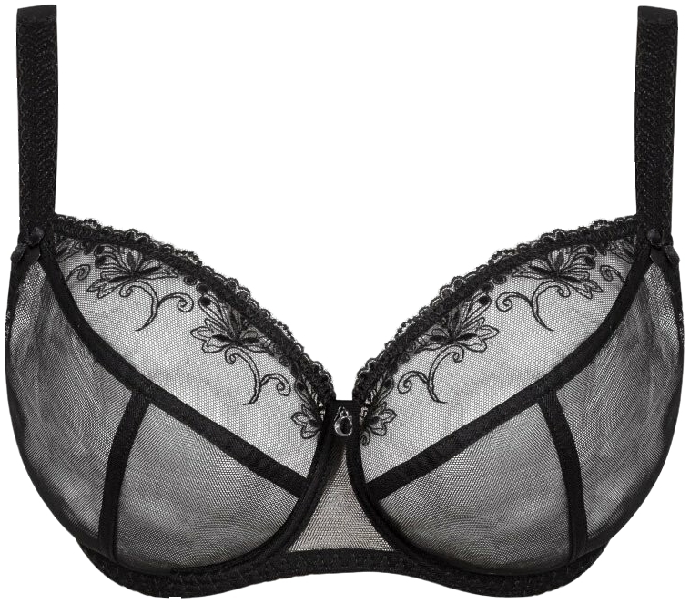 Бюстгалтер женский Corin Cr Bella 10724 90E черный фото 