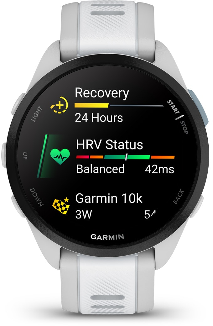 Смарт-часы Garmin Forerunner 165 GPS Mist Grey/Whitestone (010-02863-21) фото 