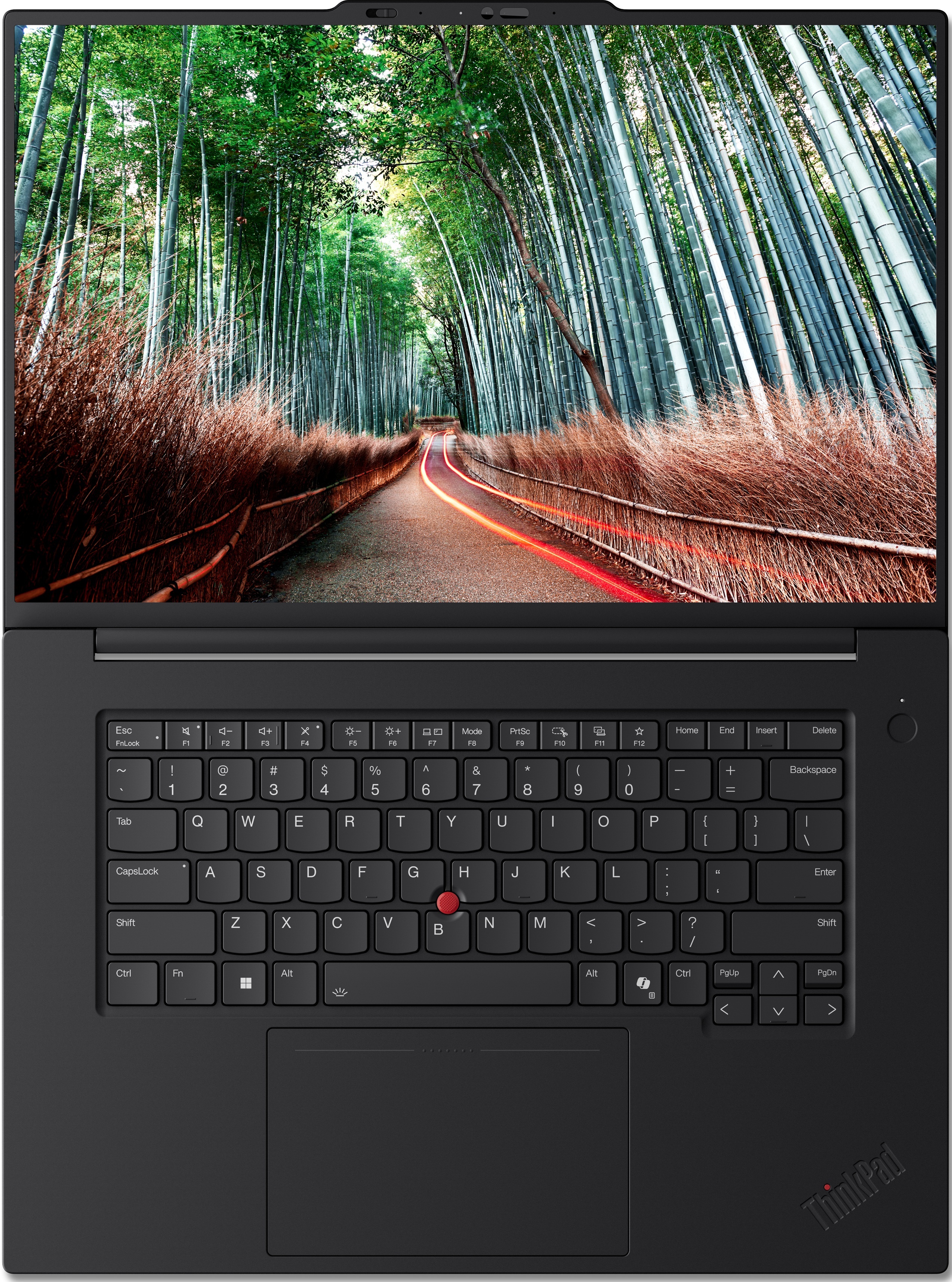 Ноутбук LENOVO ThinkPad T1g Gen 8 (21TD0002RA)фото