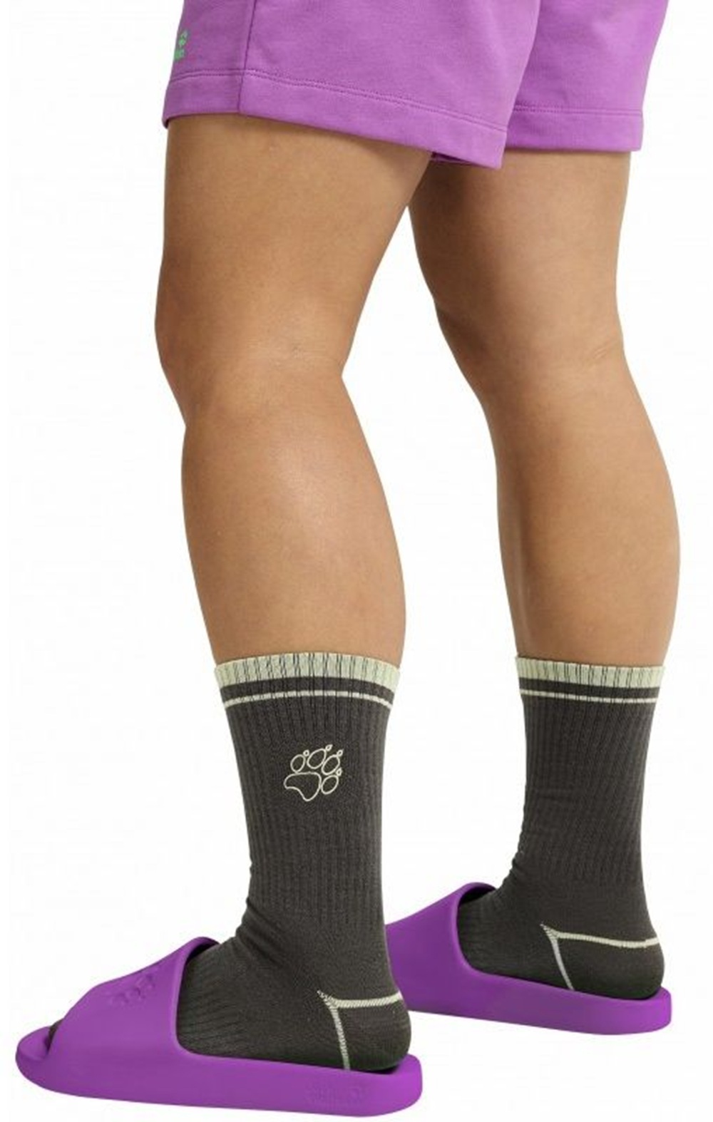 Шлепанцы Jack Wolfskin Paw Slider A65742_I0132 39,5 (0 UK) фиолетовые фото 