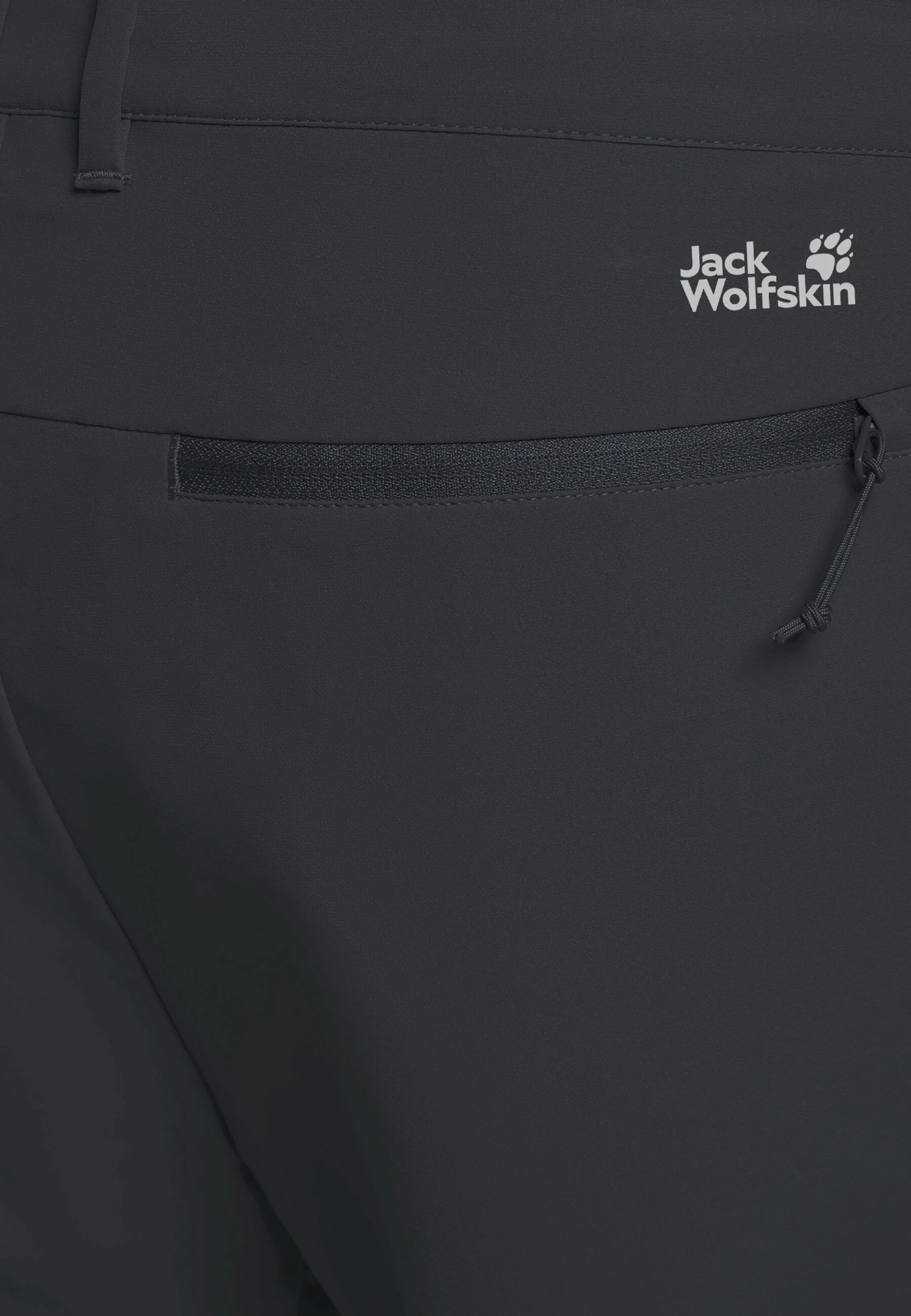 Штаны мужские Jack Wolfskin Pico Trail Pants M A63904_6350 50L темно-серые фото 