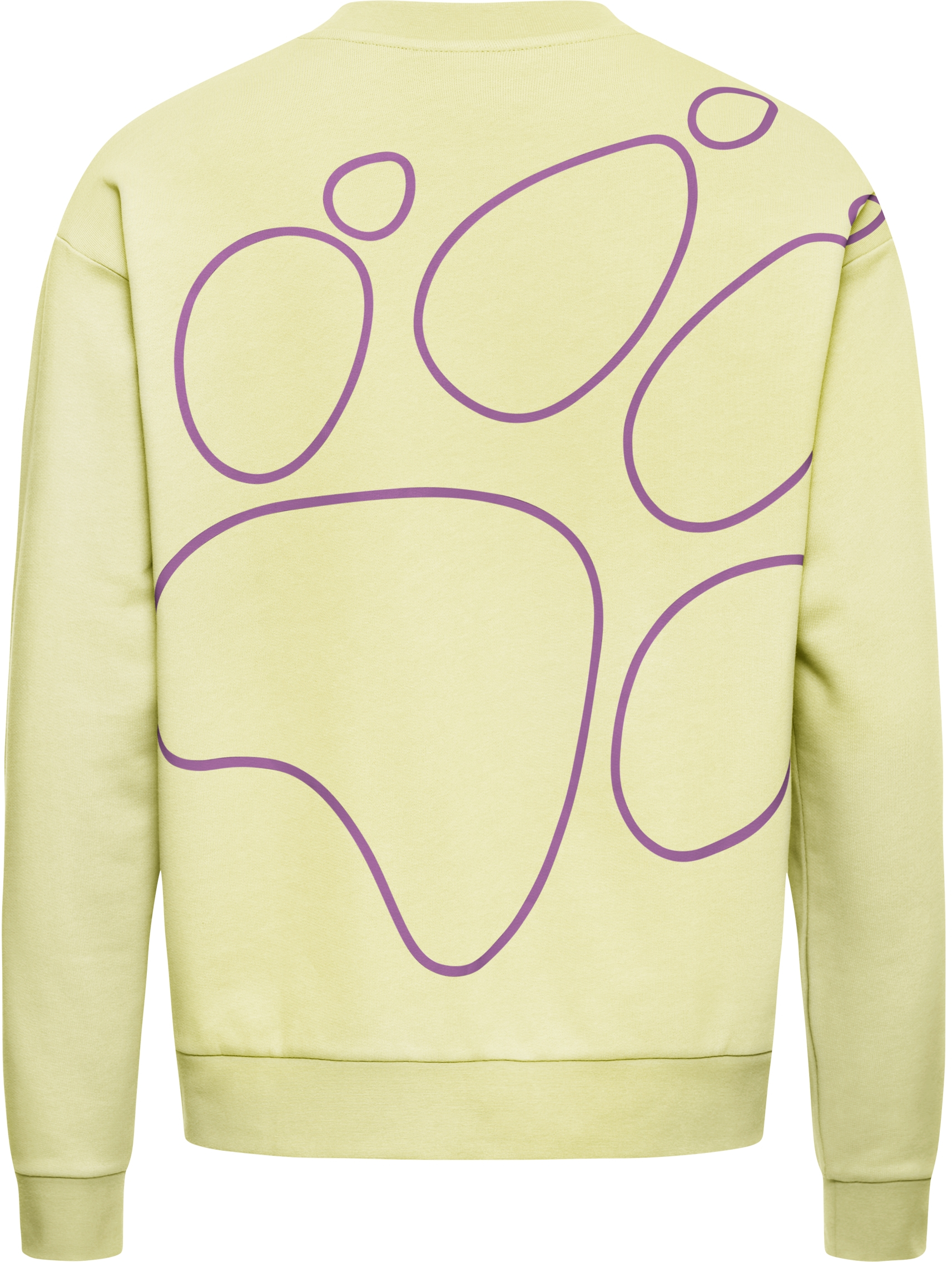 Свитшот женский Jack Wolfskin Celebrate The Paw Crewneck W A65903_T0410 XS желтый фото5