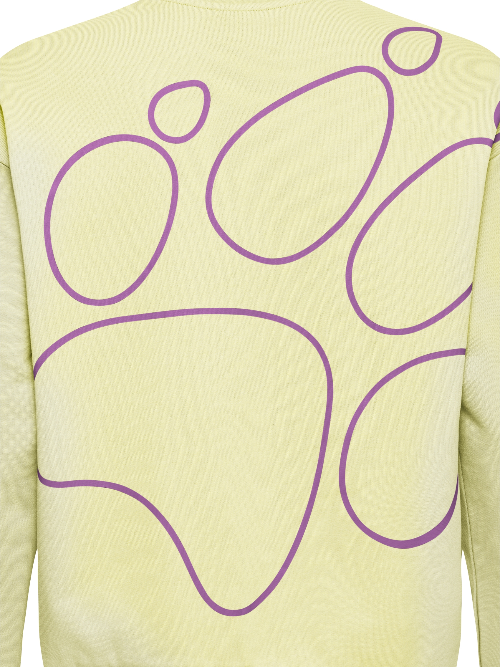 Свитшот женский Jack Wolfskin Celebrate The Paw Crewneck W A65903_T0410 XS желтый фото6