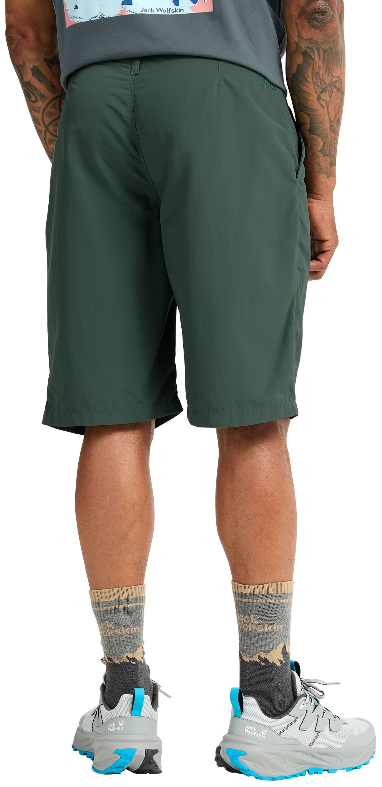 Шорты мужские Jack Wolfskin Duneland Shorts M A65926_E0271 54 зеленые фото 