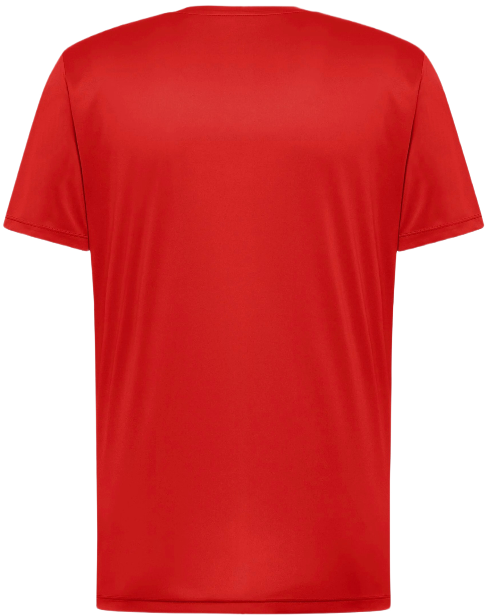 Футболка спортивная мужская Jack Wolfskin Tech T M A63293_J0191 S красная фото 