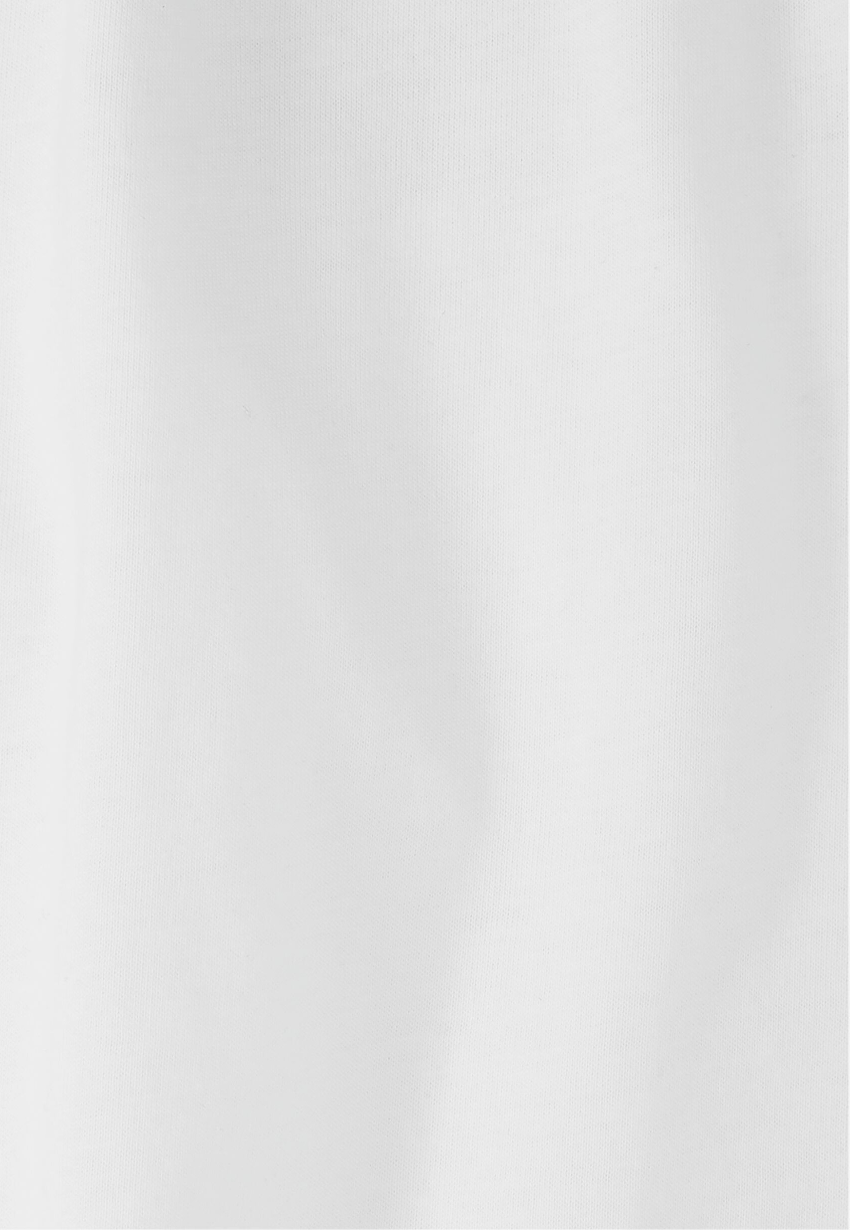 Футболка мужская Jack Wolfskin Confident T M A65919_T0538 XL белая фото 