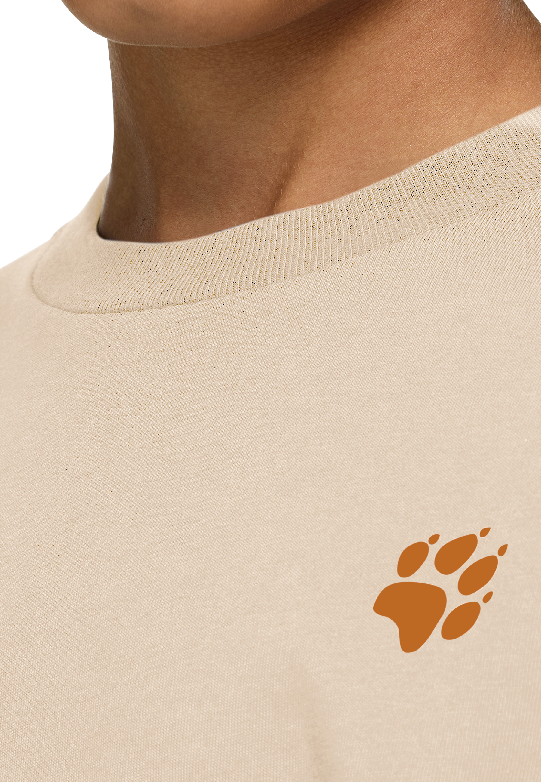 Футболка детская Jack Wolfskin Paw T K A65937_T0512 128 бежевая фото 4