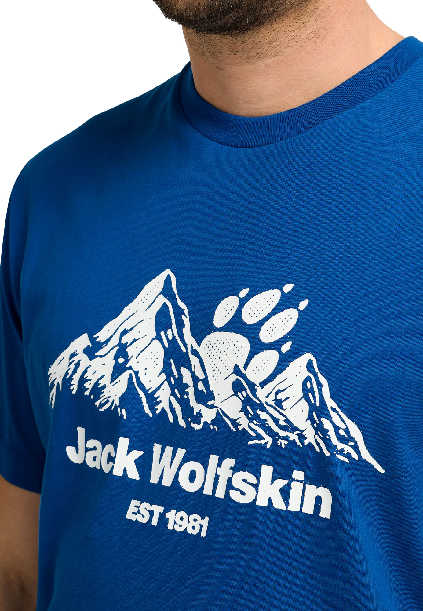 Футболка мужская Jack Wolfskin Carefree T M A66090_T0464 L синяя фото 