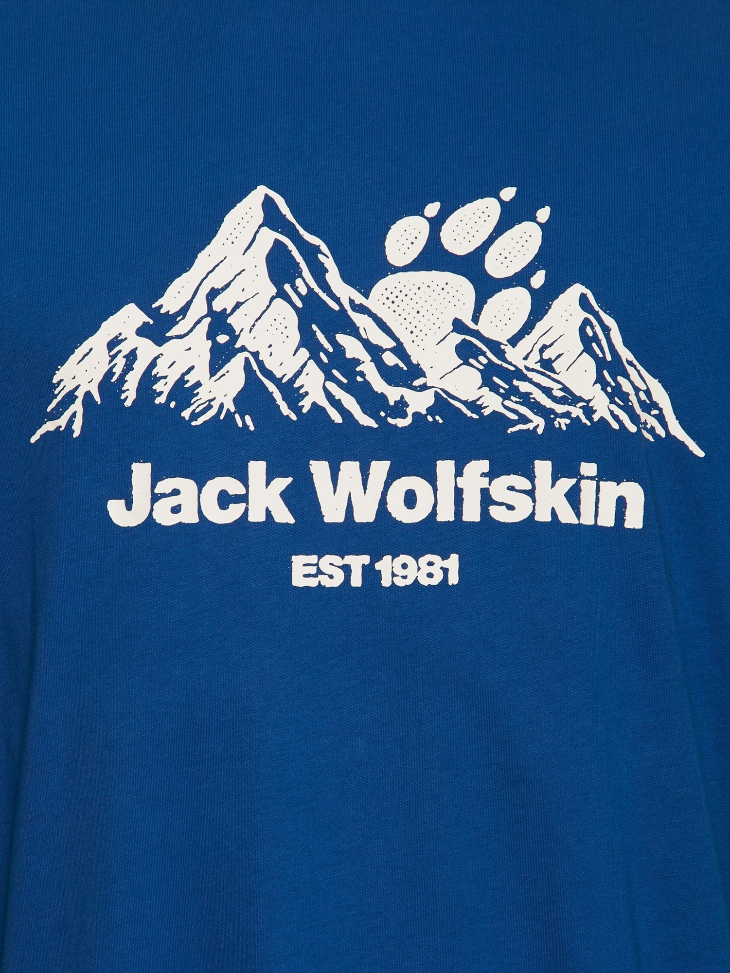 Футболка мужская Jack Wolfskin Carefree T M A66090_T0464 XL синяя фото 