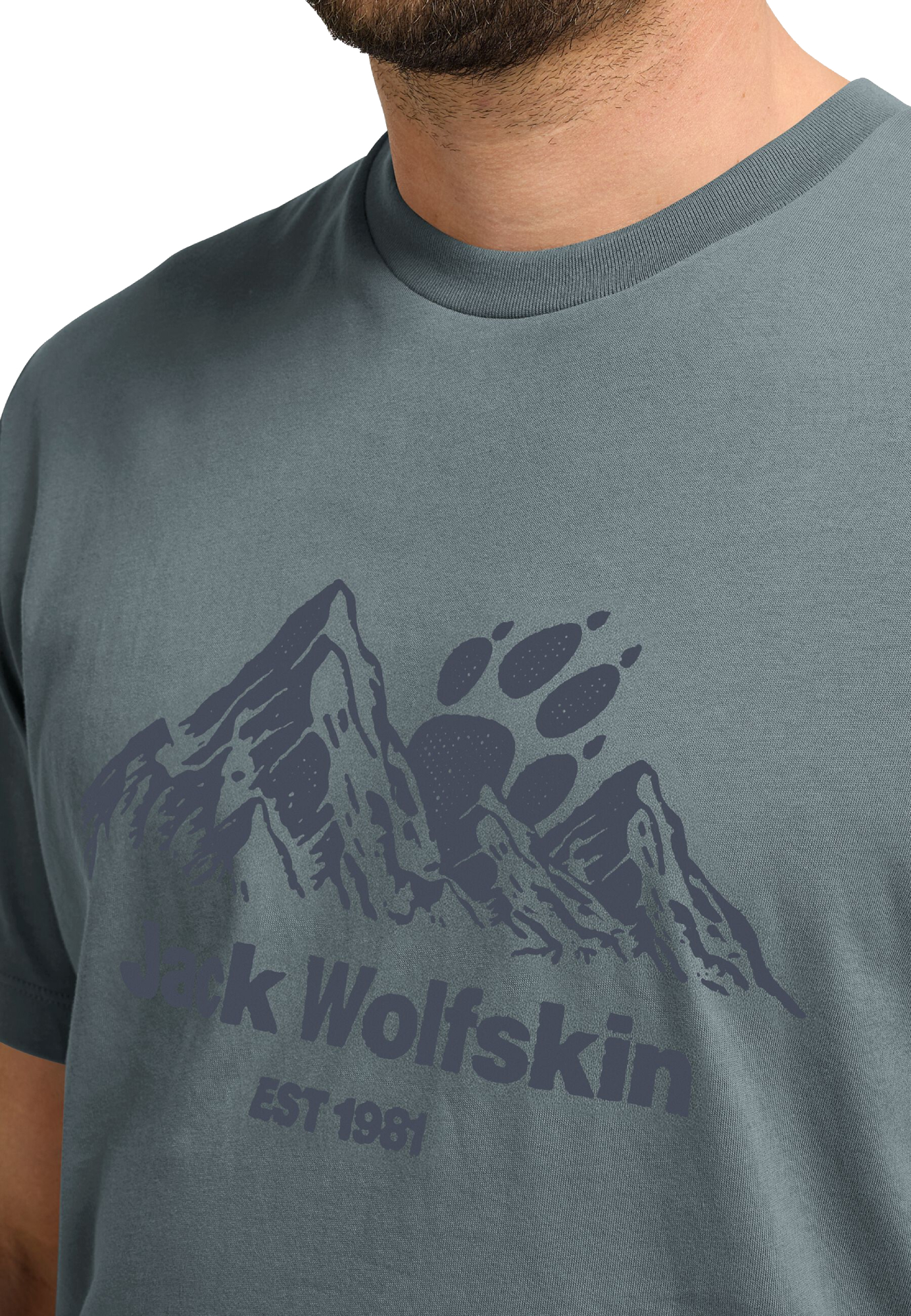 Футболка мужская Jack Wolfskin Carefree T M A66090_T0466 S серо-синяя фото 