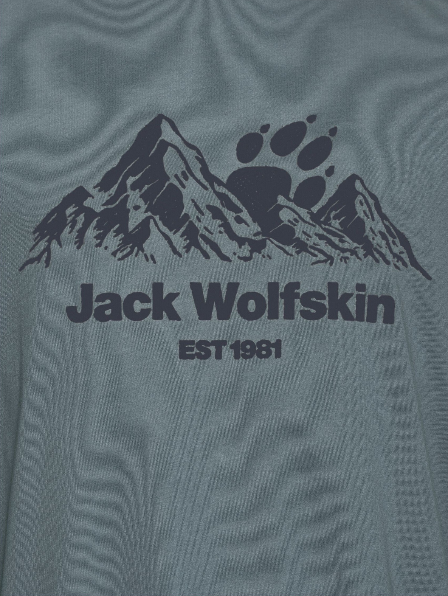 Футболка мужская Jack Wolfskin Carefree T M A66090_T0466 L серо-синяя фото 