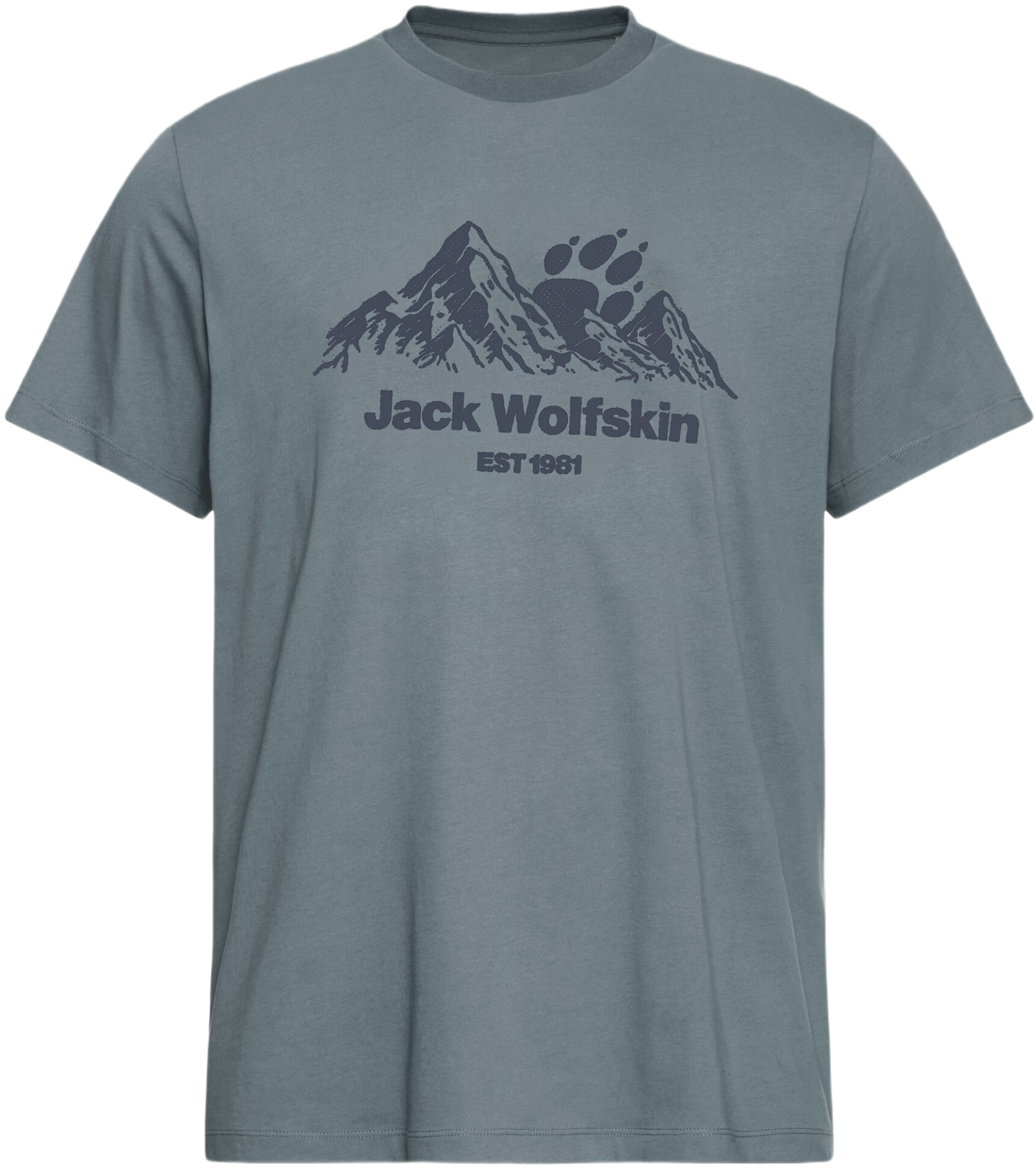 Футболка мужская Jack Wolfskin Carefree T M A66090_T0466 XL серо-синяя фото 