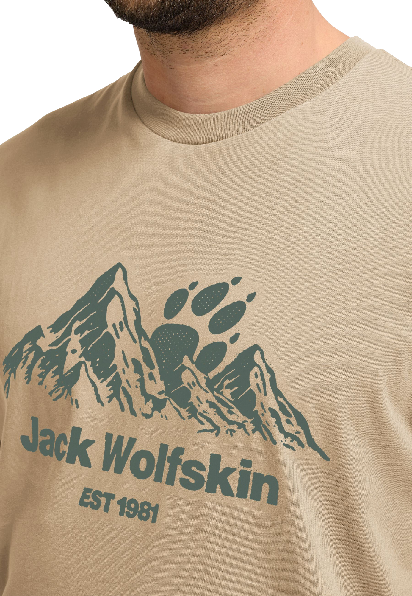 Футболка мужская Jack Wolfskin Carefree T M A66090_T0468 M бежевая фото 