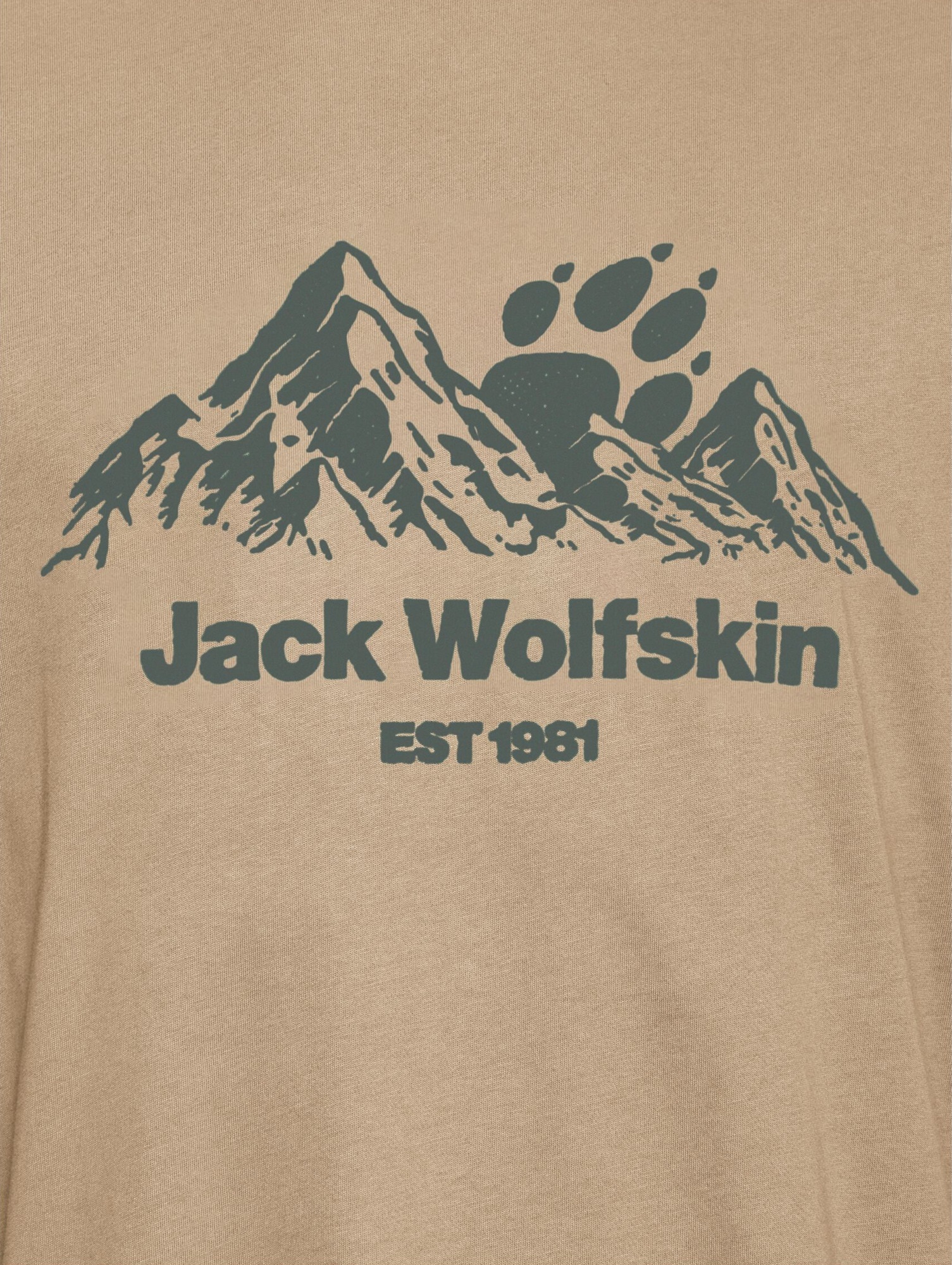 Футболка мужская Jack Wolfskin Carefree T M A66090_T0468 2XL бежевая фото 