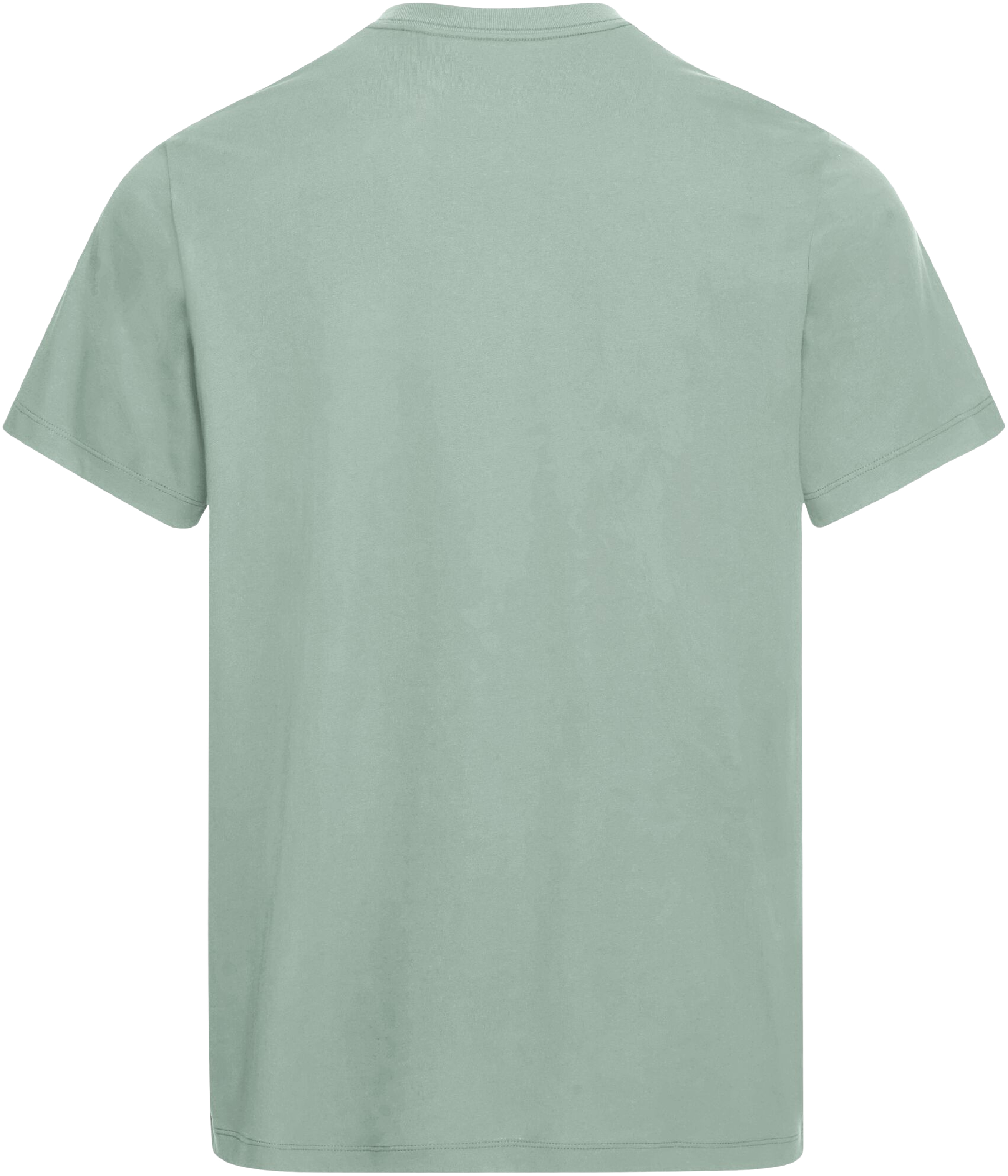 Футболка мужская Jack Wolfskin Essential T M A65917_E0272 XL зеленая фото 