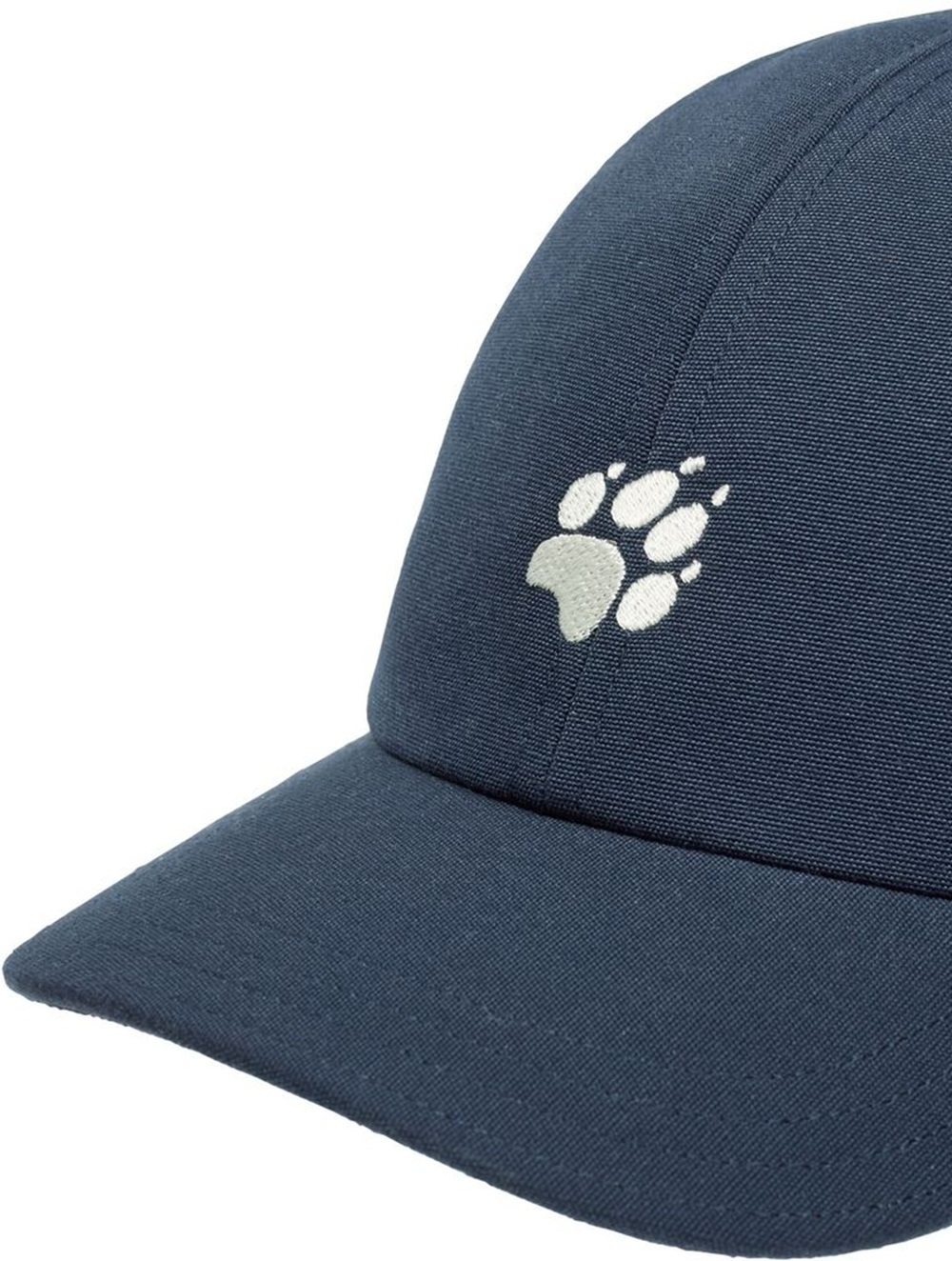 Кепка детский Jack Wolfskin Baseball Cap K A65776_C0412 синяя фото 