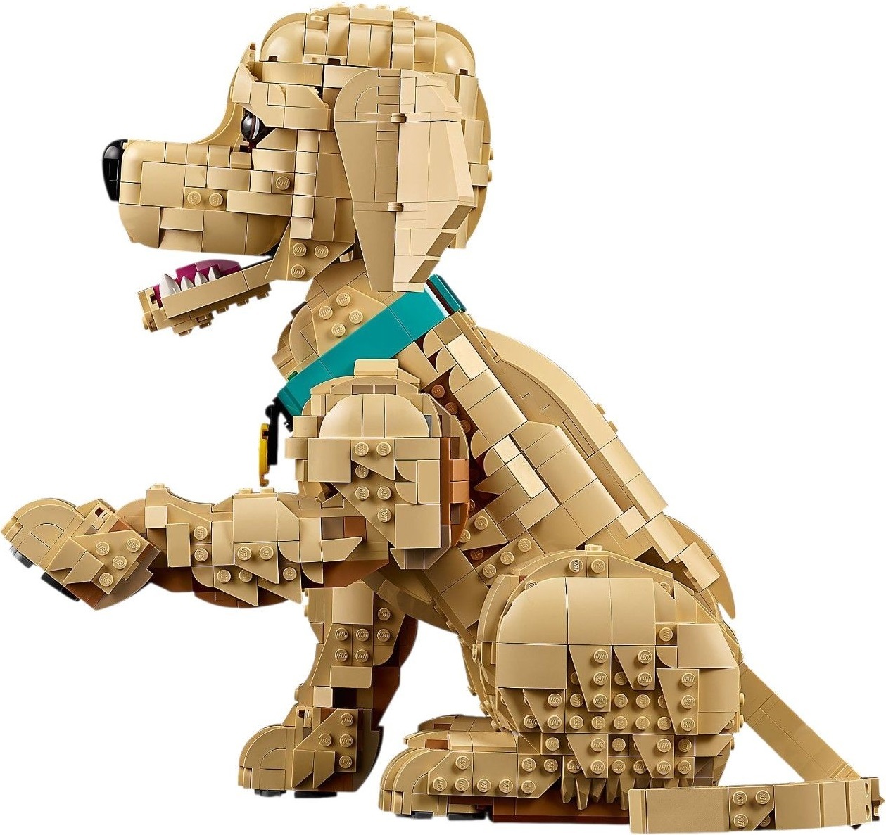 LEGO 11384 Icons Щенок золотистого ретривера фото 3