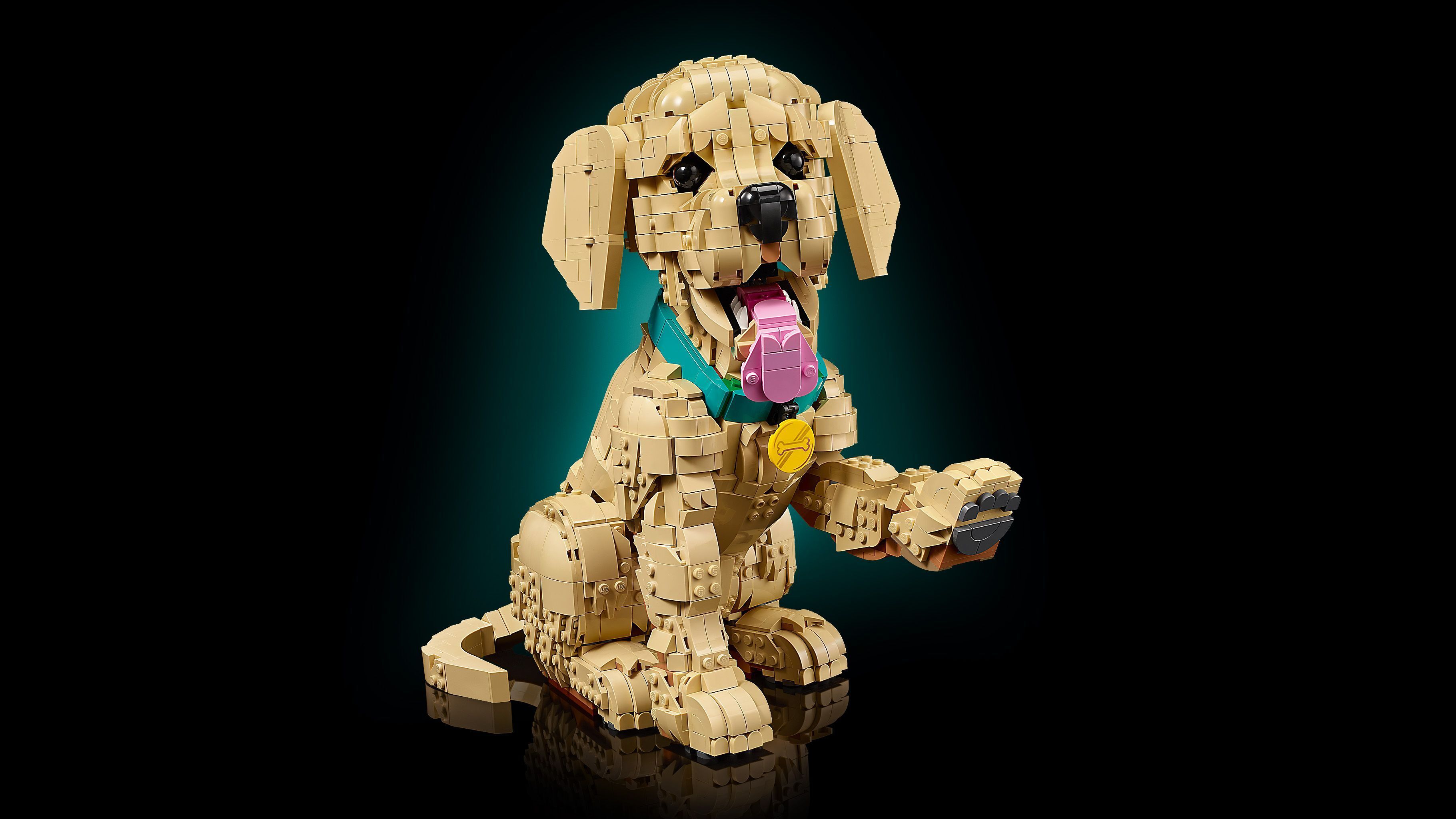 LEGO 11384 Icons Щенок золотистого ретривера фото 15