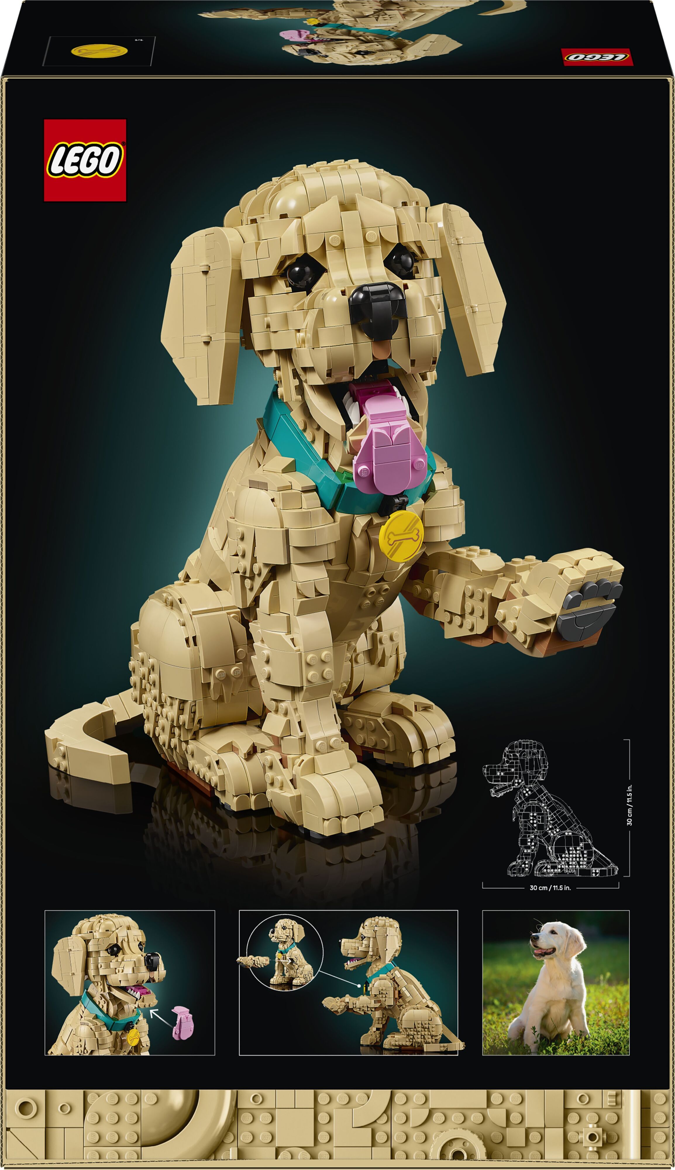 LEGO 11384 Icons Щенок золотистого ретривера фото 16