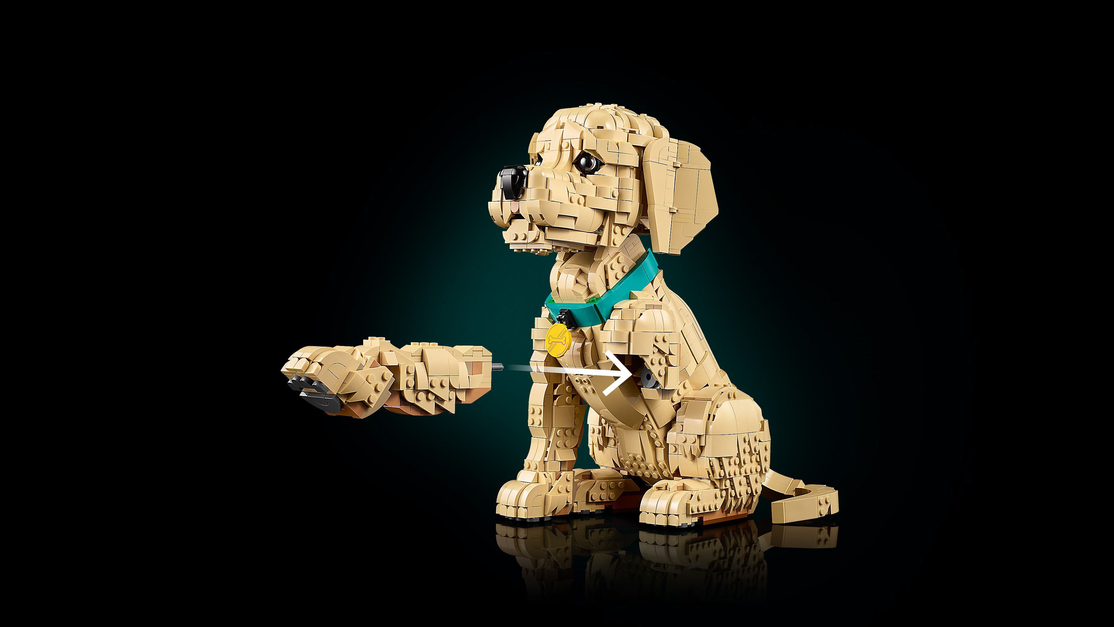 LEGO 11384 Icons Щенок золотистого ретривера фото 14