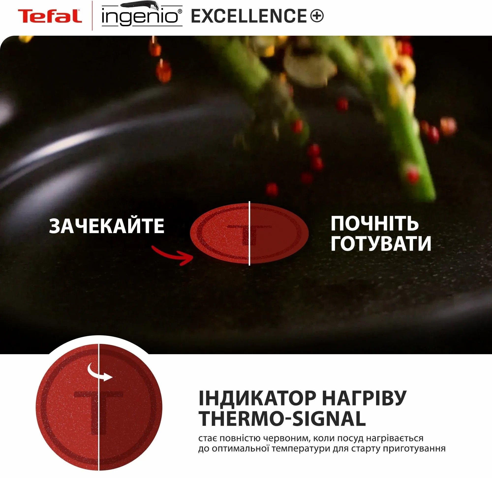 Набор посуды Tefal Ingenio Excellence+, 13 предметов (P0009753) фото 