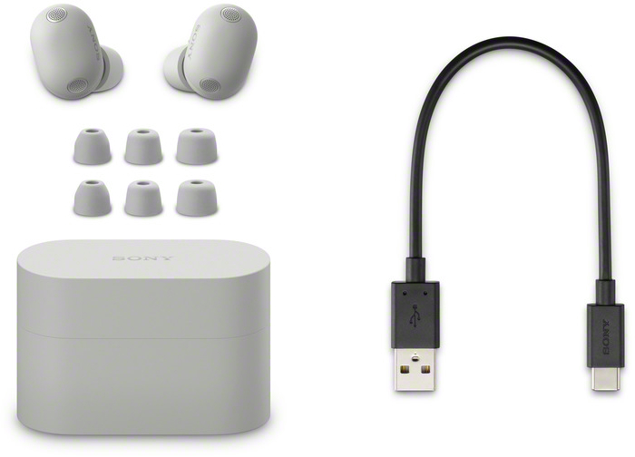 Навушники Sony WF-1000XM6 Silver (WF1000XM6S.CE7)фото