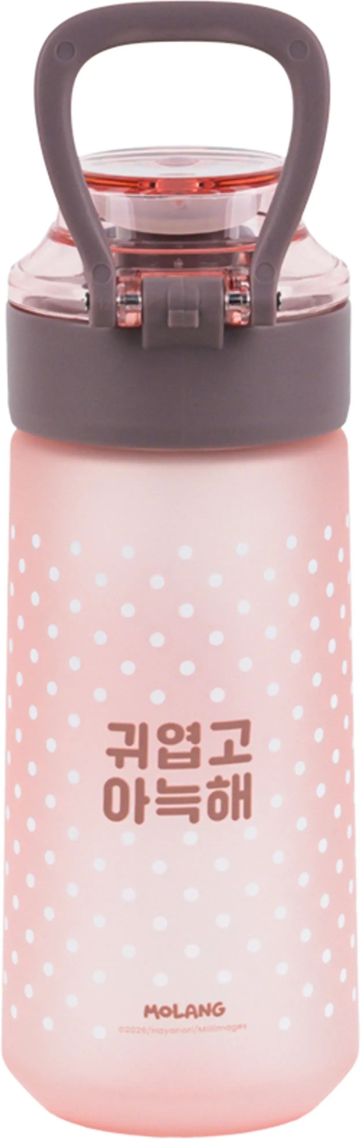 Бутылочка для воды Kite Molang, 560 мл (ML26-1213) фото 