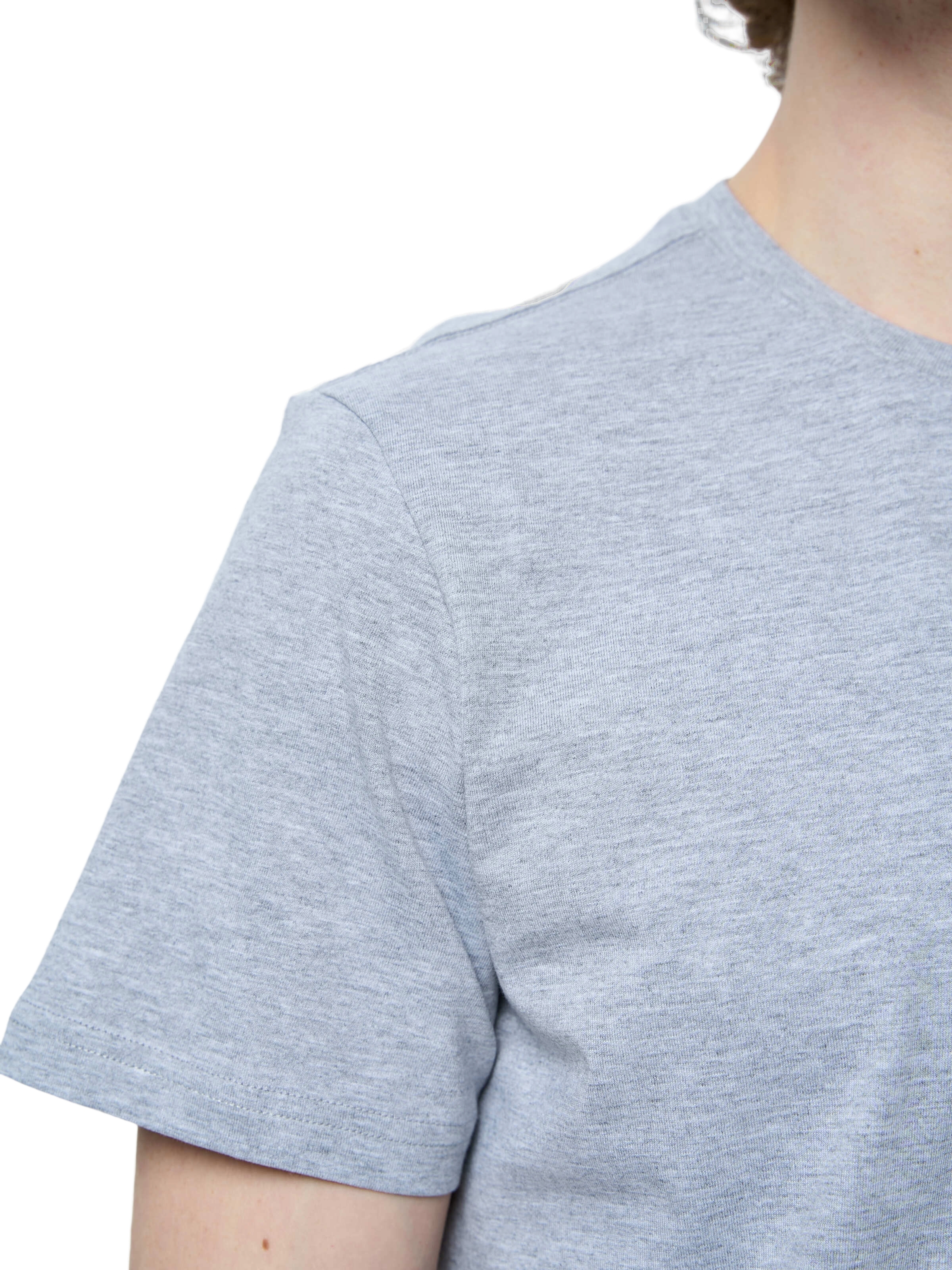 Футболка бавовняна чоловіча Roza 210135 4XL сірафото